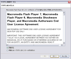 FlashPlayerƳ